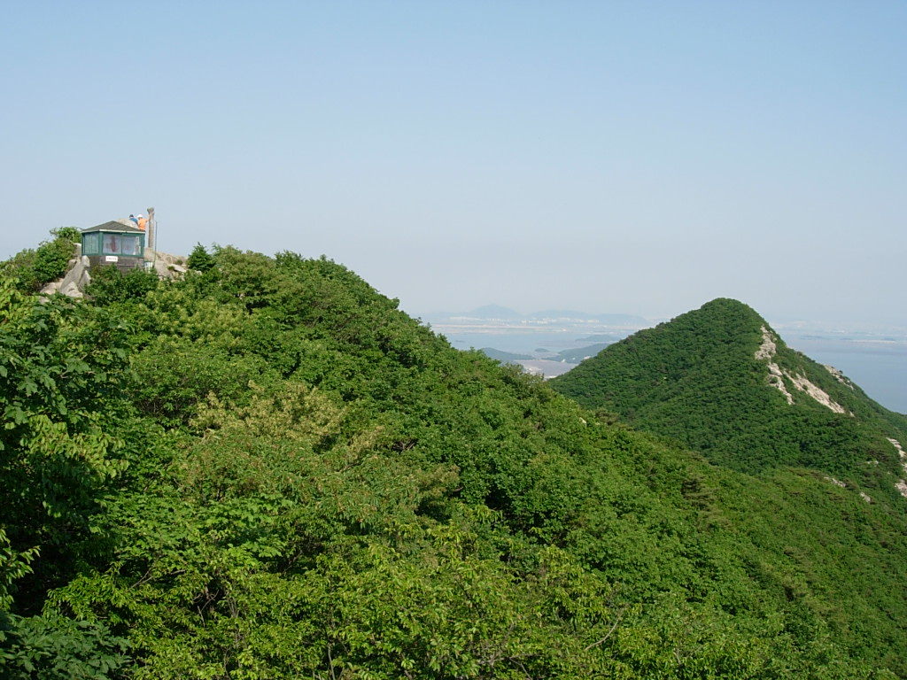 사용자 삽입 이미지