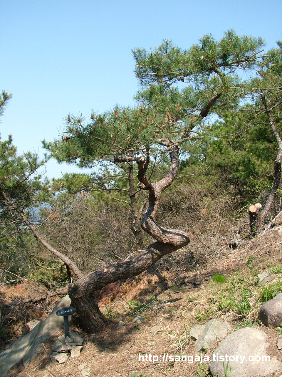 사용자 삽입 이미지