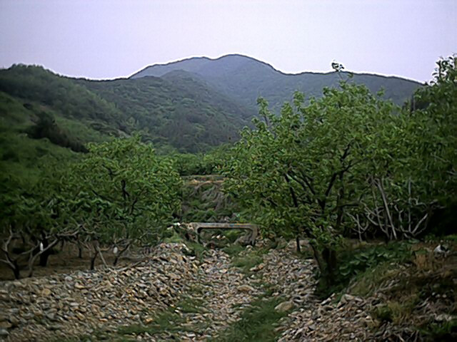 사용자 삽입 이미지