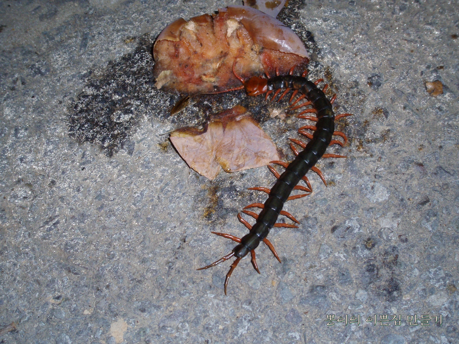 큰화면으로 보기