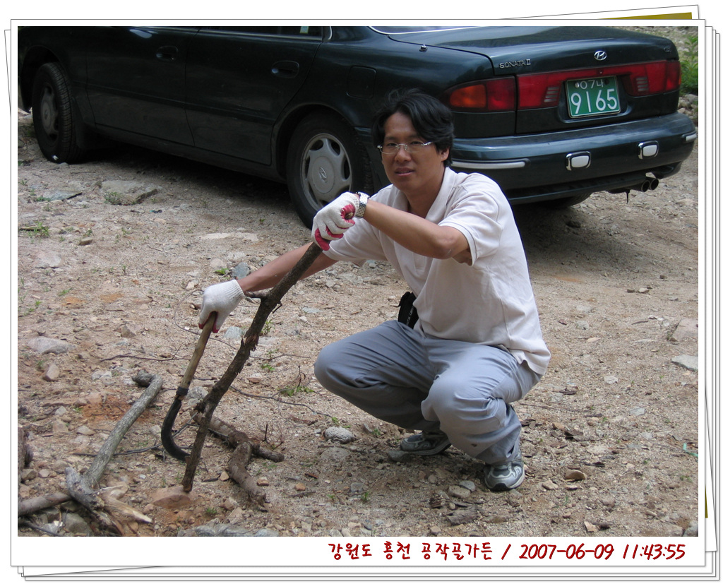 사용자 삽입 이미지
