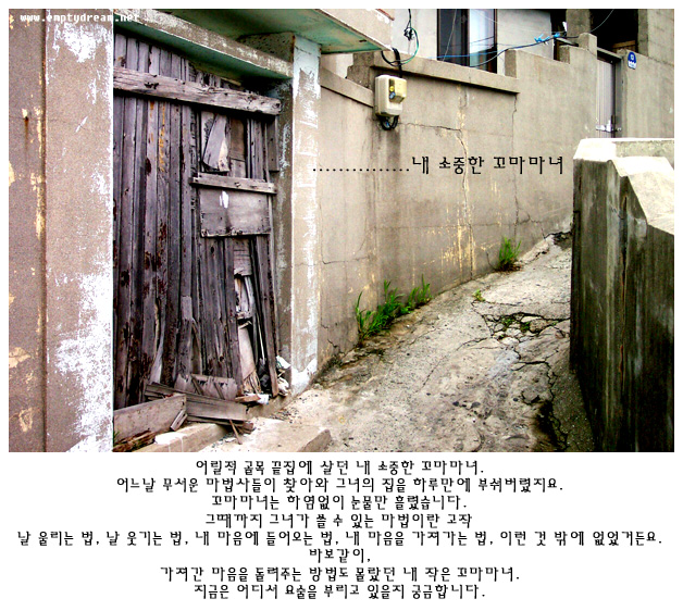 사용자 삽입 이미지