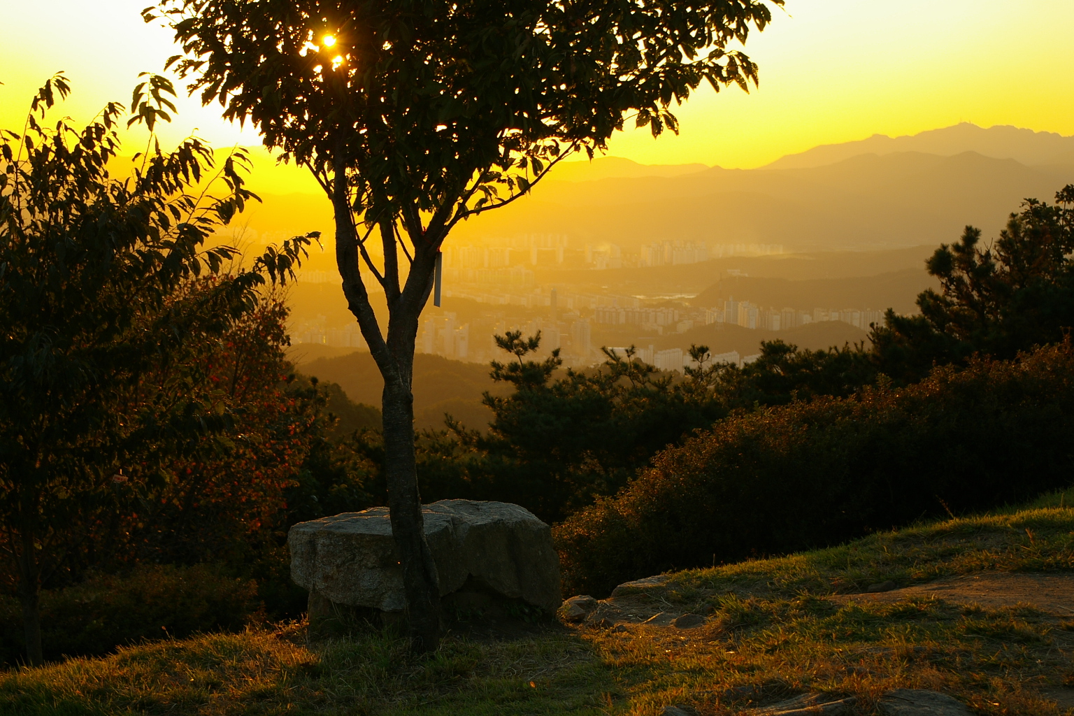 사용자 삽입 이미지