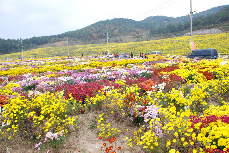 사용자 삽입 이미지