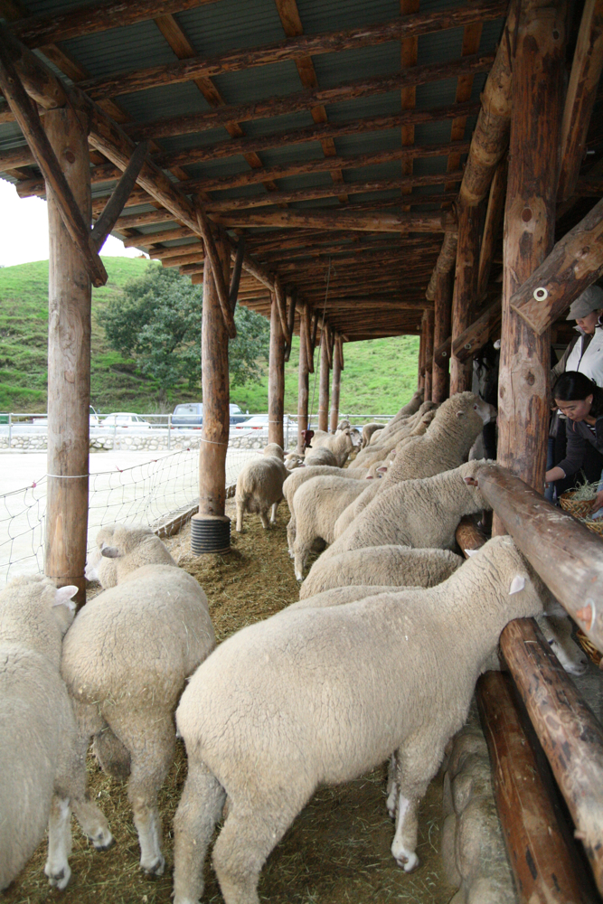 사용자 삽입 이미지