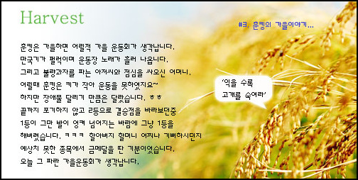 사용자 삽입 이미지