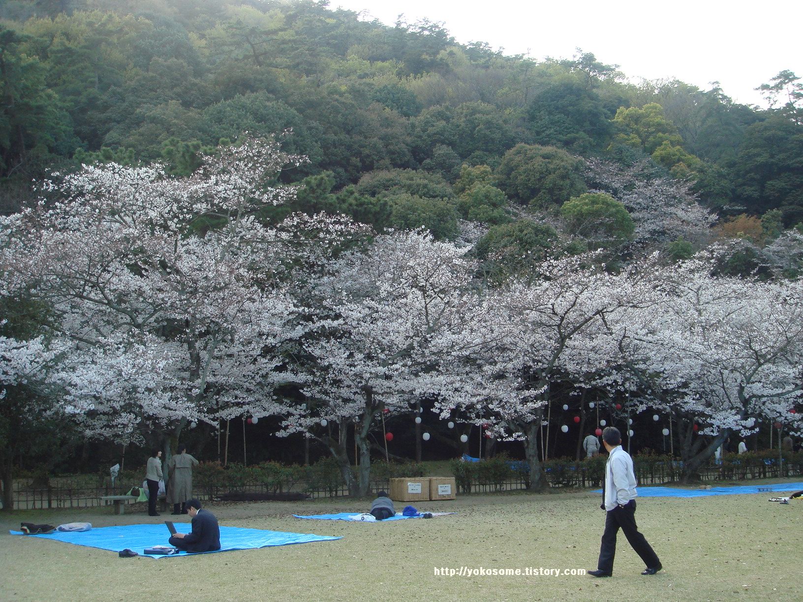 사용자 삽입 이미지