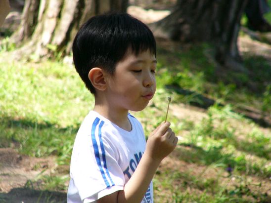 민들레를 부는 승연이