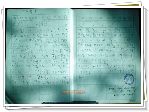 사용자 삽입 이미지