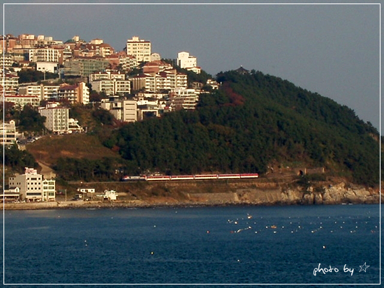 사용자 삽입 이미지