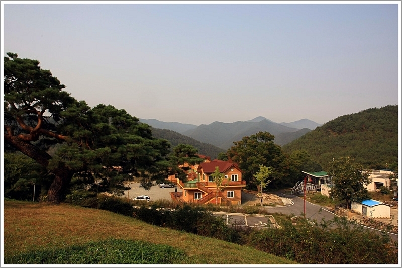 사용자 삽입 이미지