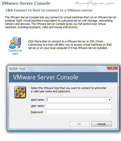 VMware Server Console