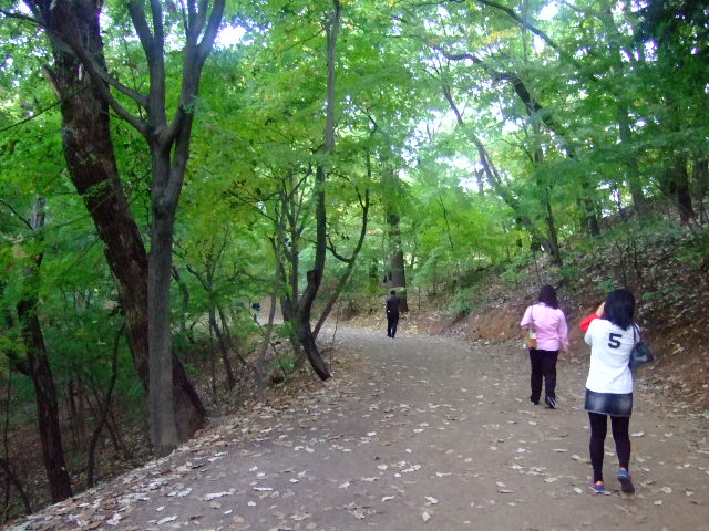 사용자 삽입 이미지