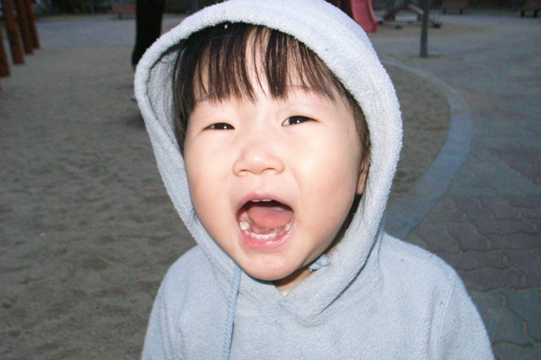 사용자 삽입 이미지