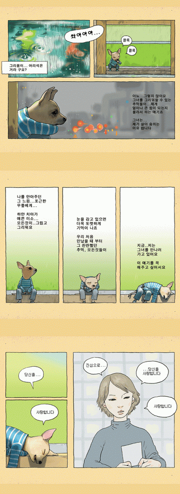 사용자 삽입 이미지