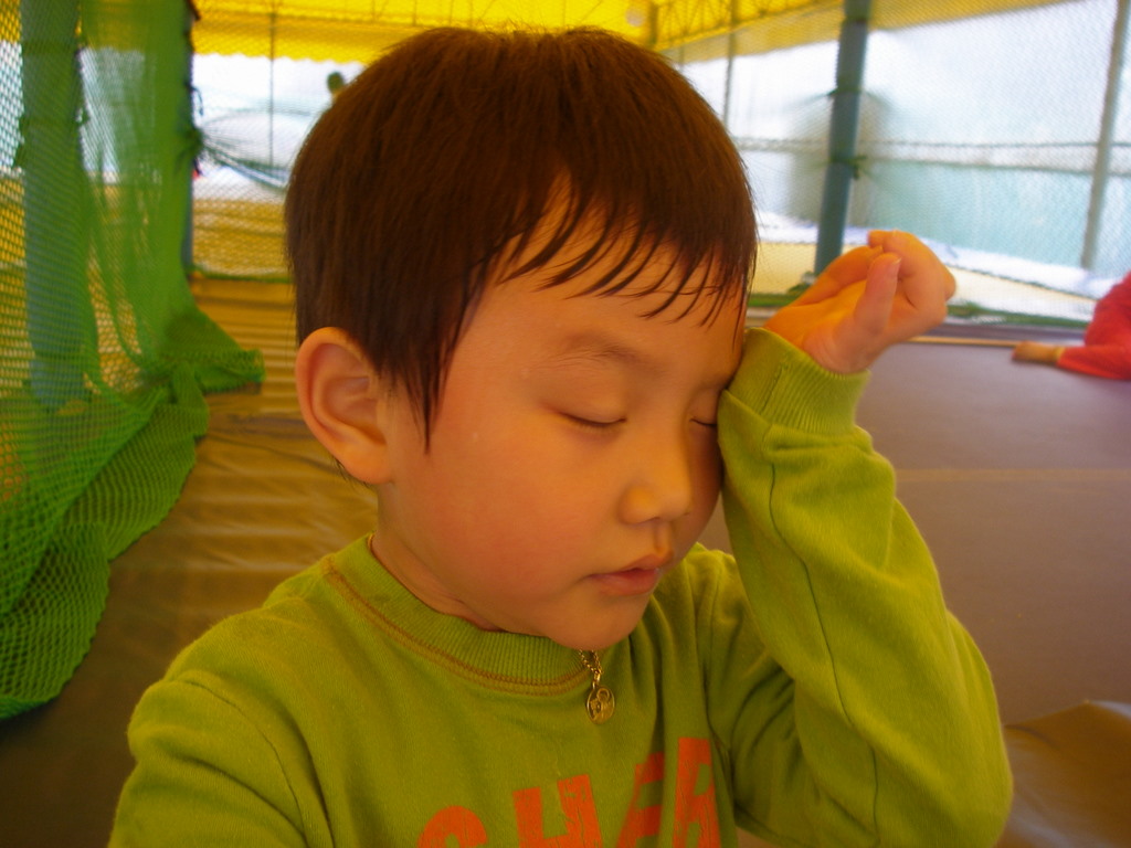 사용자 삽입 이미지