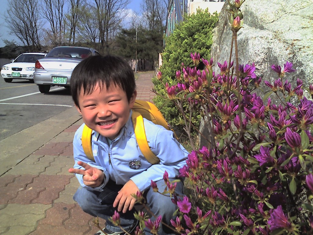 사용자 삽입 이미지