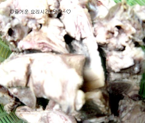 사용자 삽입 이미지