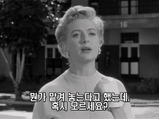 사용자 삽입 이미지