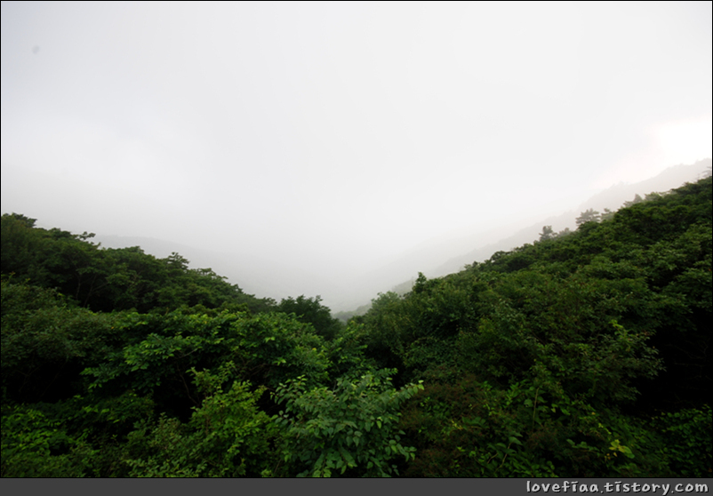 지리산 여행