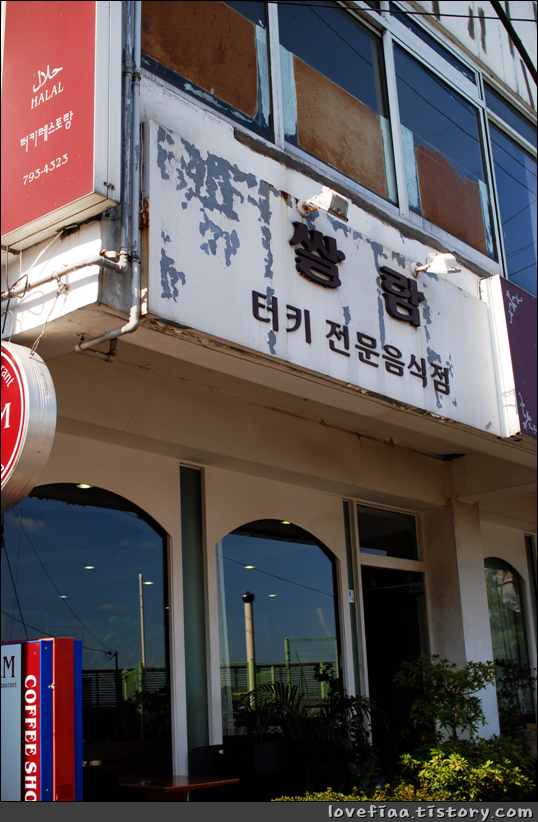 11월 3일 놀러가기