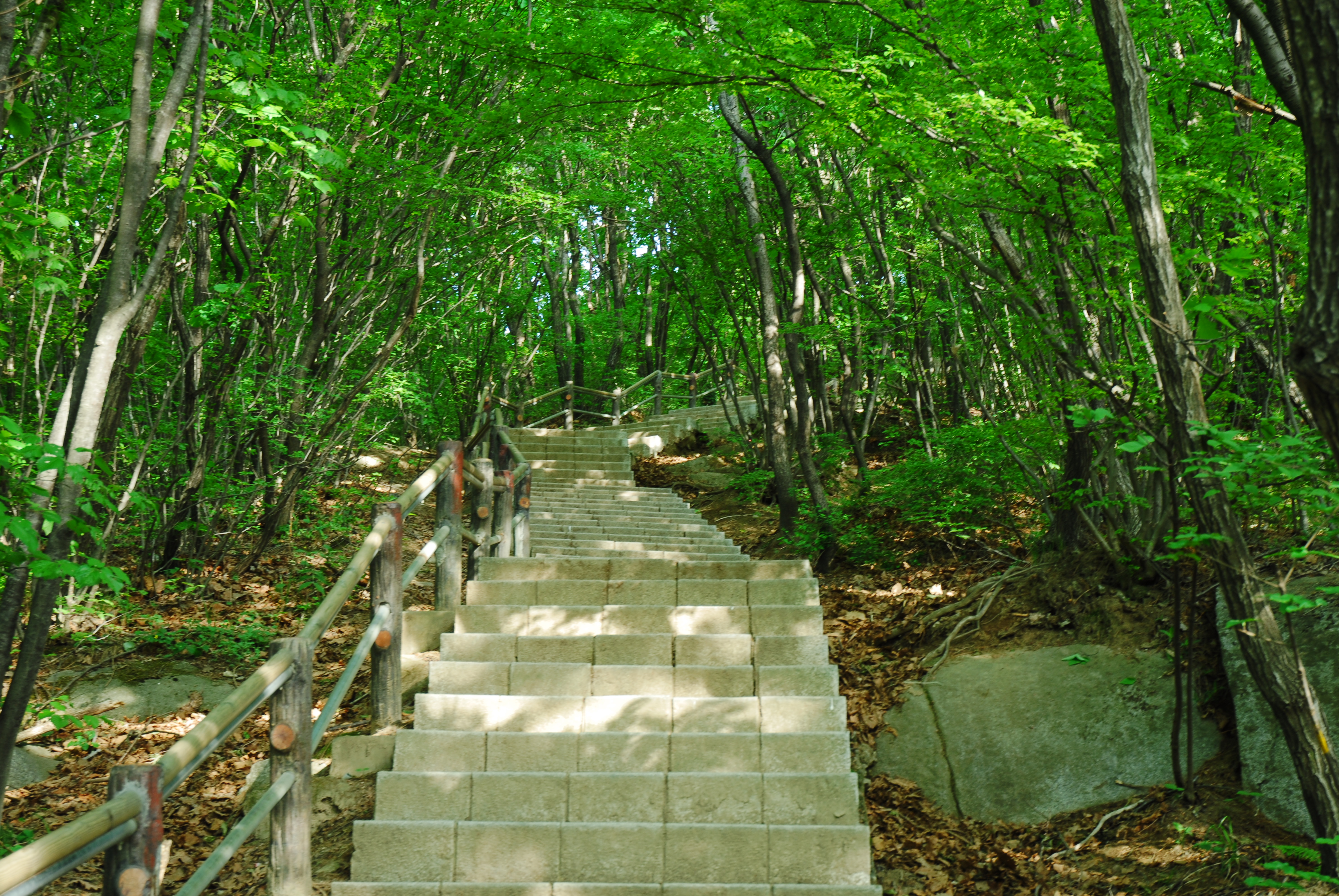 사용자 삽입 이미지