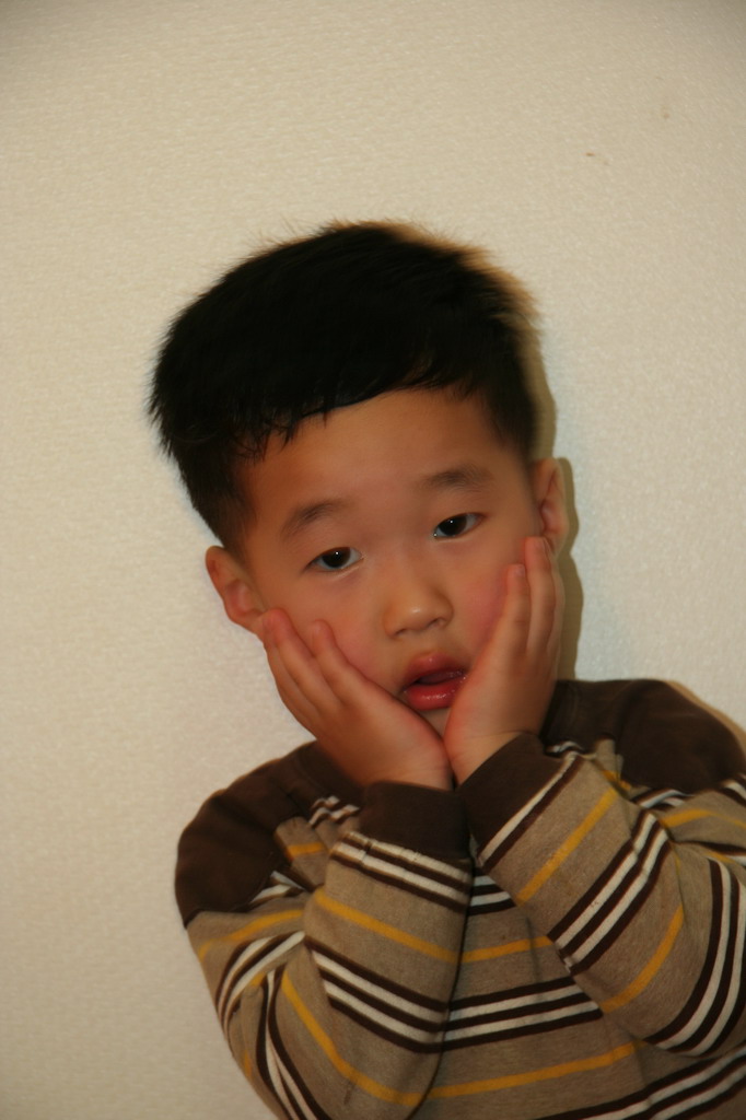 사용자 삽입 이미지