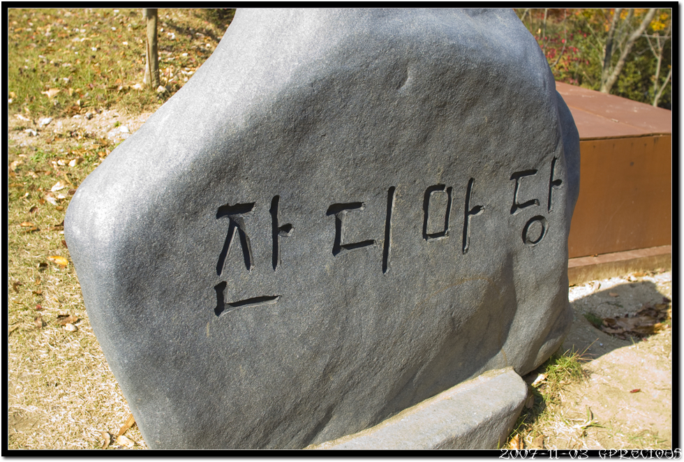 사용자 삽입 이미지