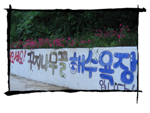 사용자 삽입 이미지