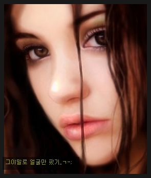 사용자 삽입 이미지