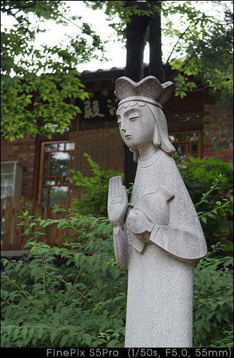 사용자 삽입 이미지
