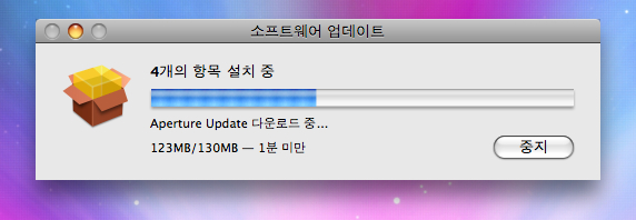 사용자 삽입 이미지