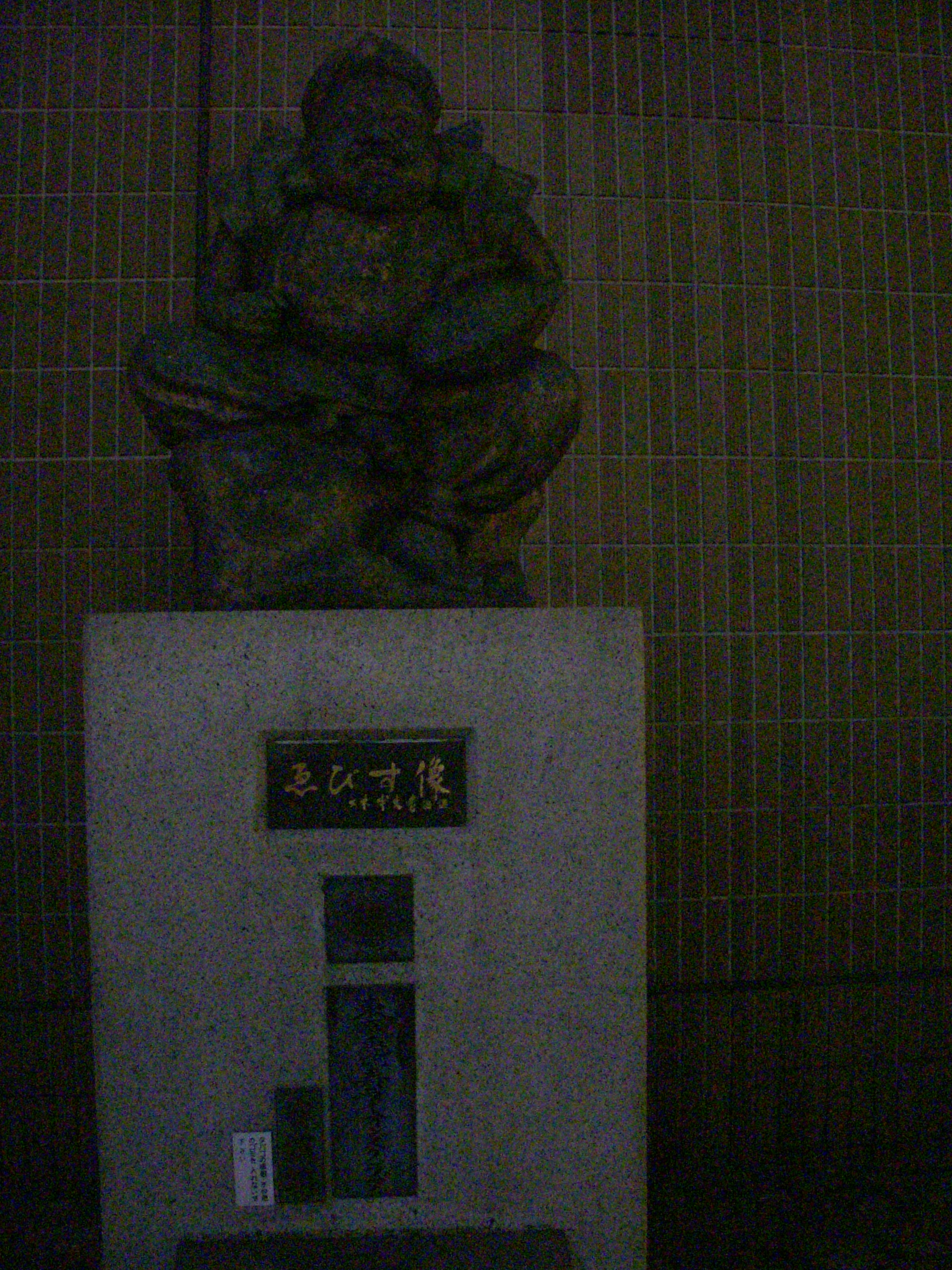 사용자 삽입 이미지