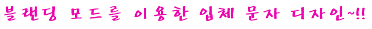 사용자 삽입 이미지