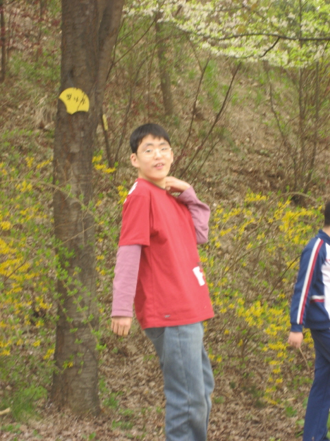 사용자 삽입 이미지