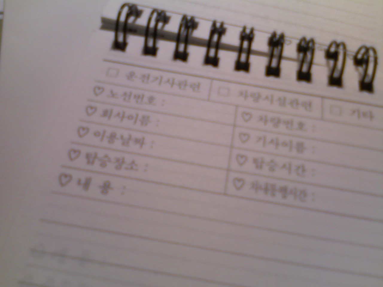사용자 삽입 이미지
