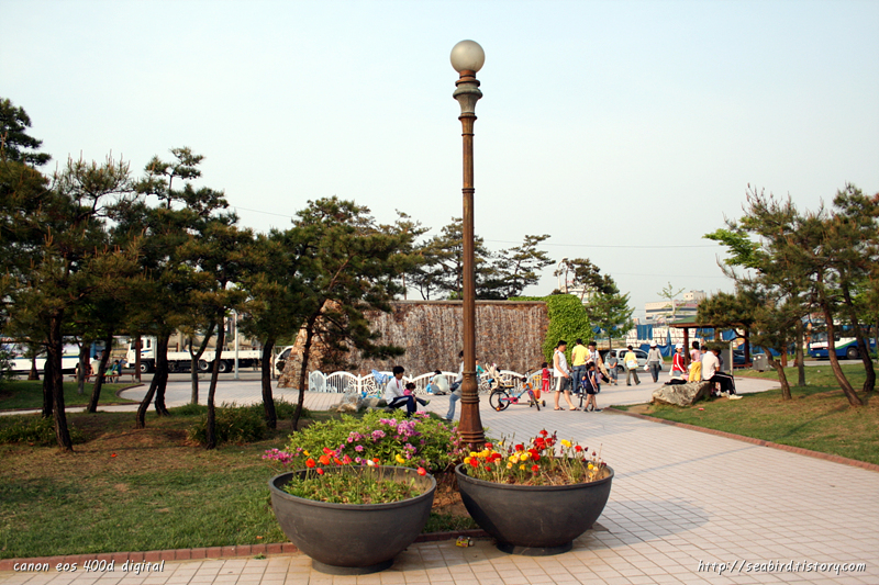 사용자 삽입 이미지