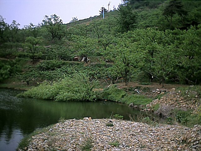 사용자 삽입 이미지