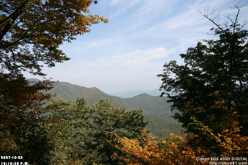사용자 삽입 이미지