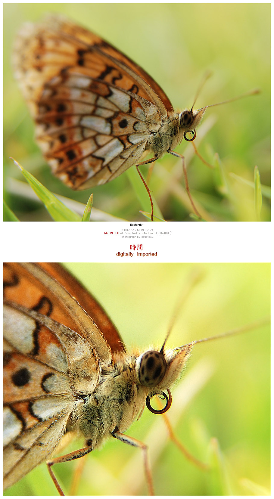사용자 삽입 이미지