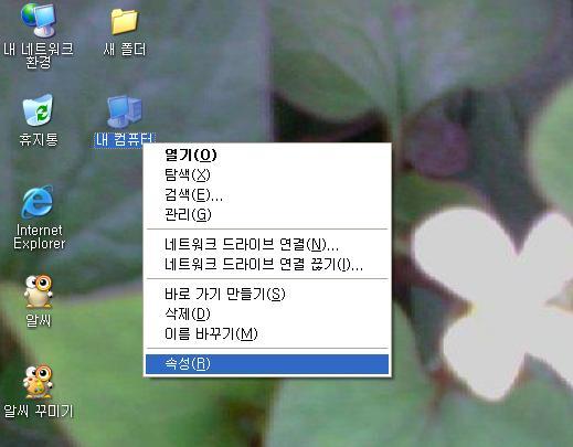 사용자 삽입 이미지