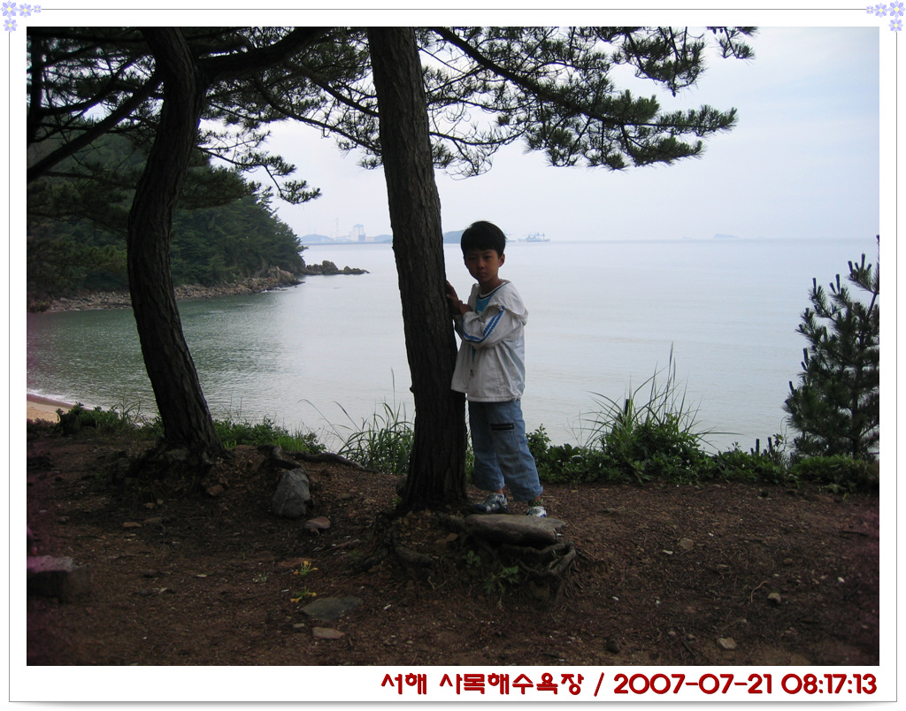 사용자 삽입 이미지
