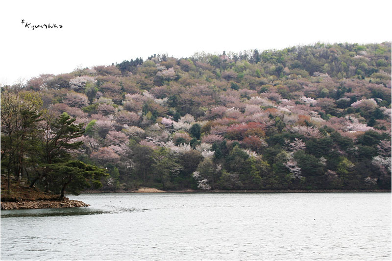 사용자 삽입 이미지