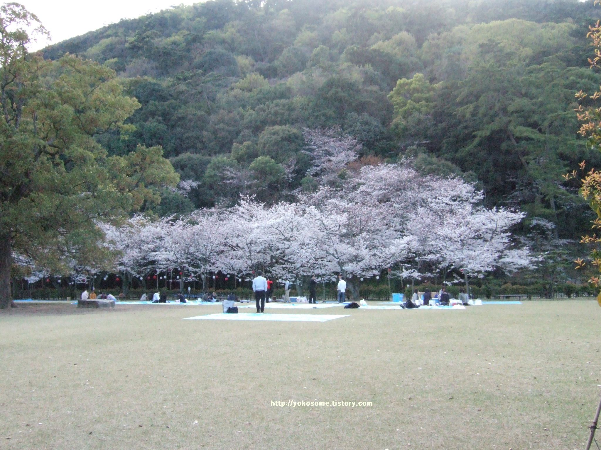 사용자 삽입 이미지