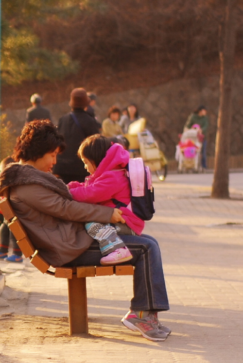 사용자 삽입 이미지
