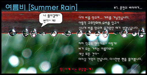 사용자 삽입 이미지