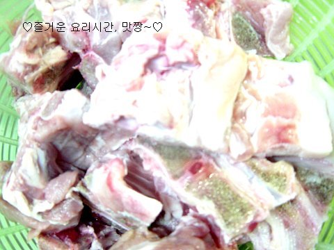 사용자 삽입 이미지