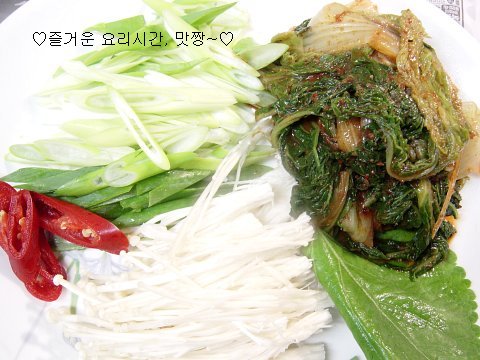 사용자 삽입 이미지