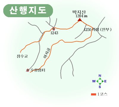 사용자 삽입 이미지