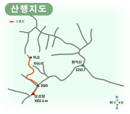 사용자 삽입 이미지